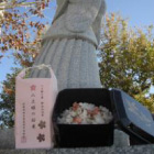 八上姫の桜米